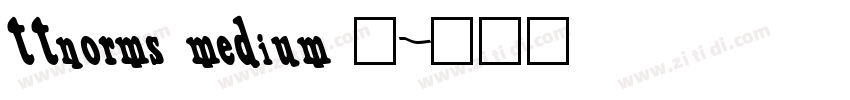 ttnorms medium 中字体转换